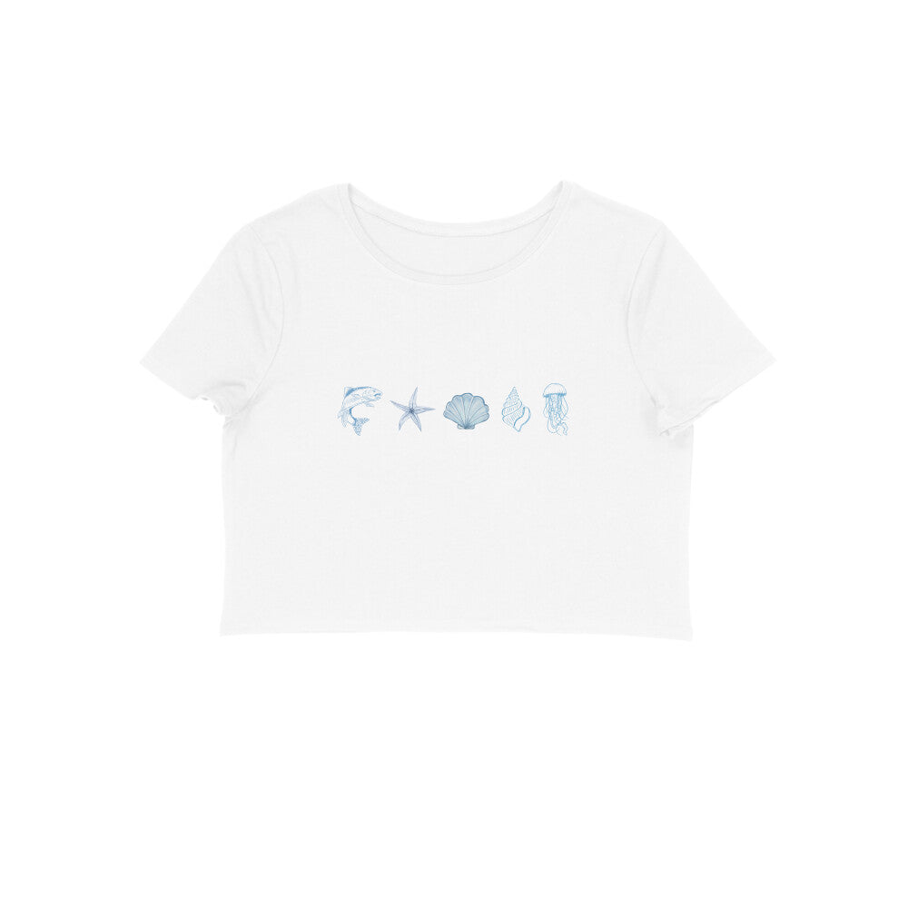 Front View - 5634581